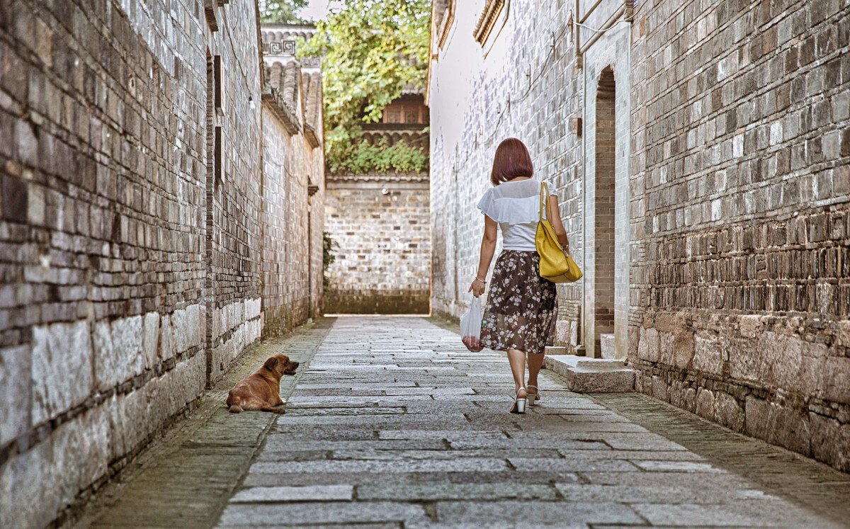 冯晓澜：踏实寻故乡青石板路  