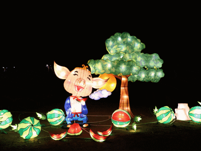 灯会1.gif