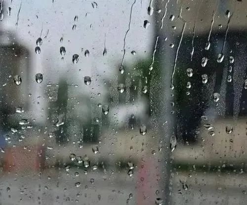 冯仁春：深秋晚雨（散文）