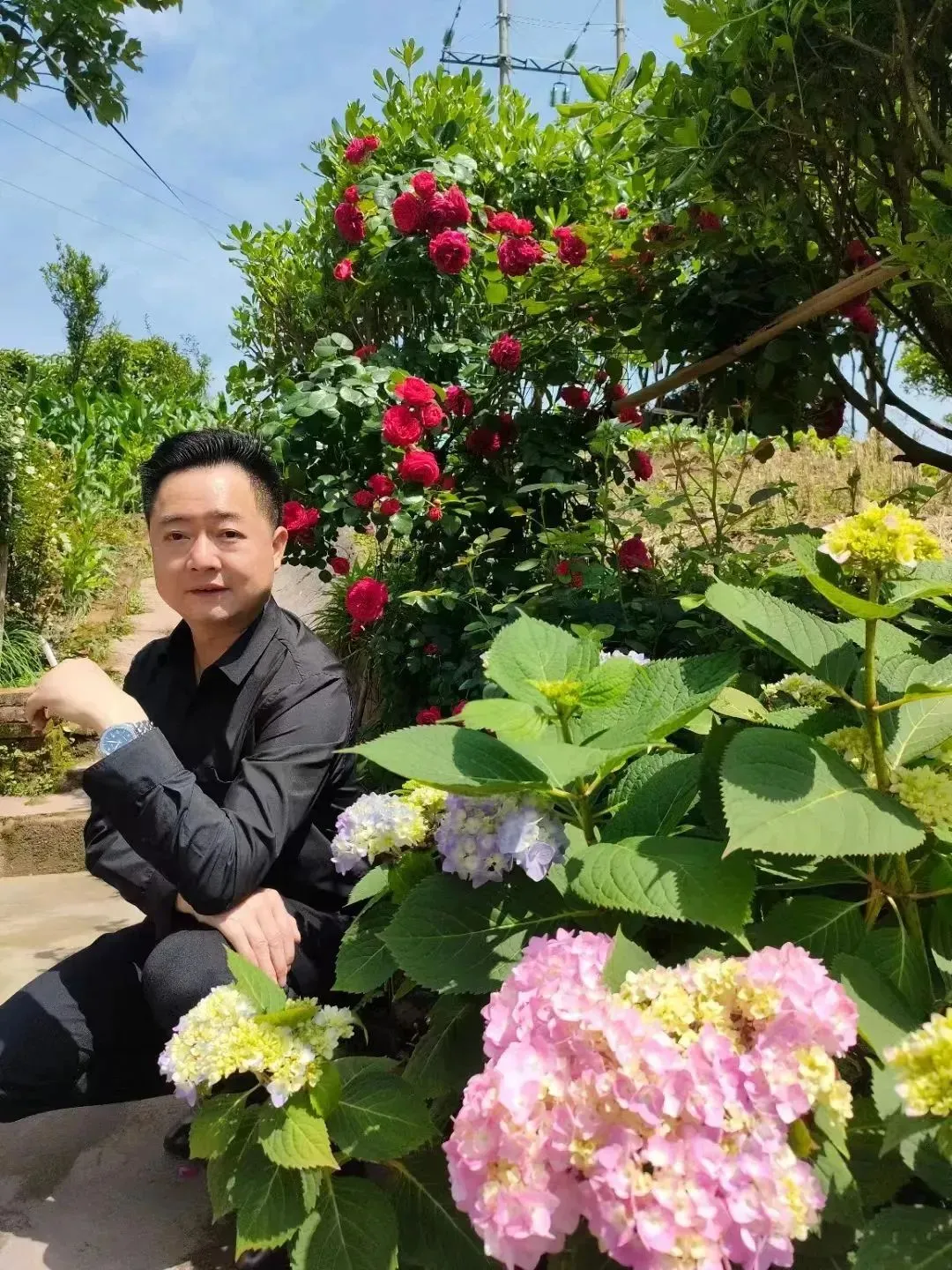 朱可:夏日趣事(散文)