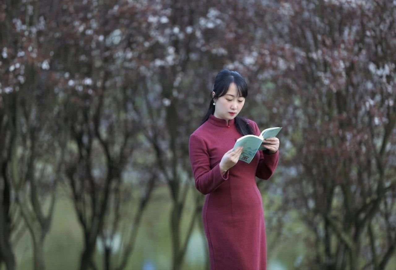 杨柳：今宵灯火映流年（散文）