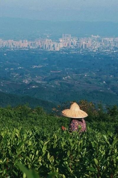 何山川：山雾未散（短篇小说）