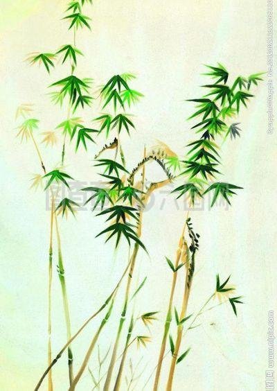 大竹校园习作汇展‖徐一萌：竹赞