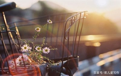 肖雪莲 ▎将来，你们要到这里来看我（组诗）