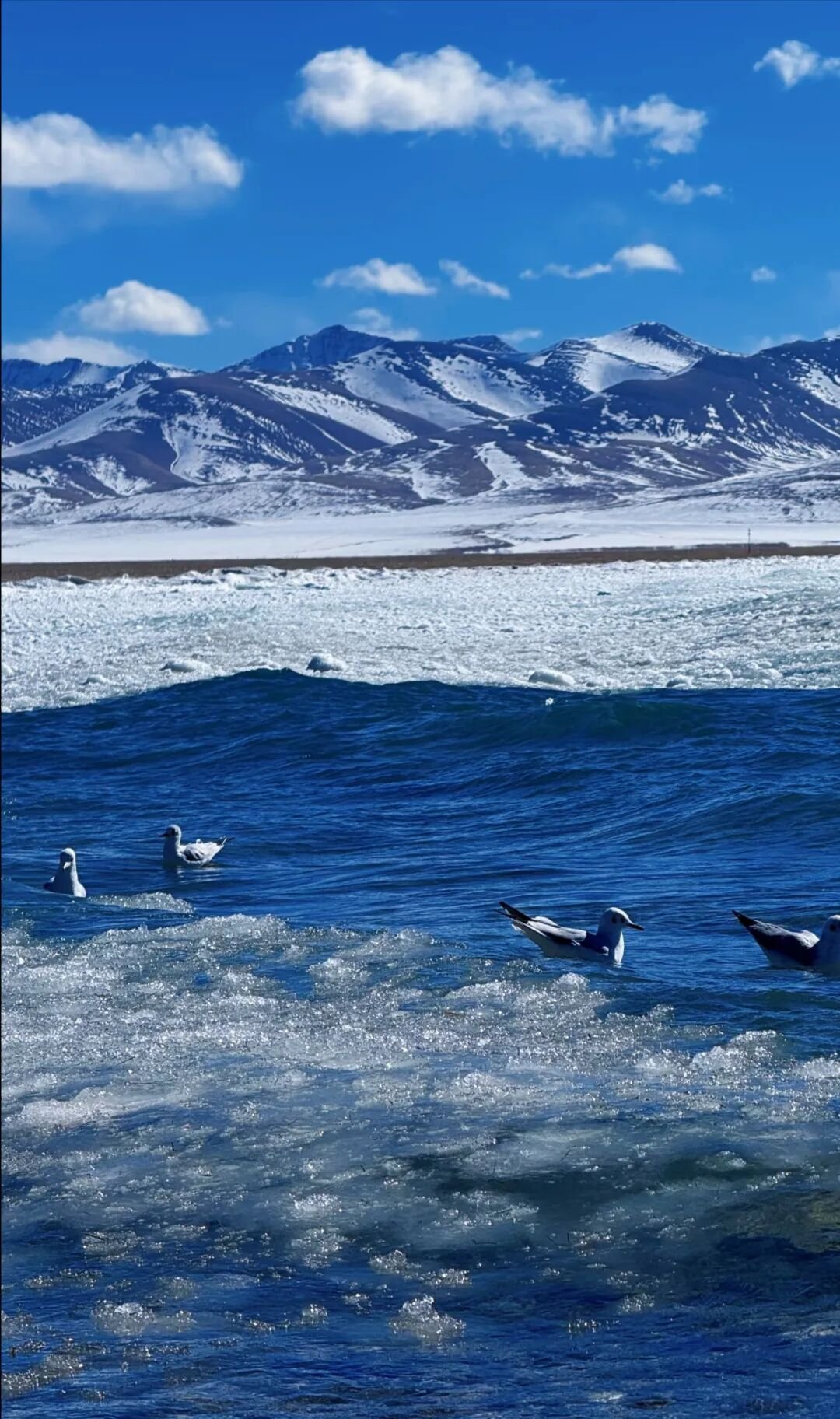 杨奉纯：西行散记（二）